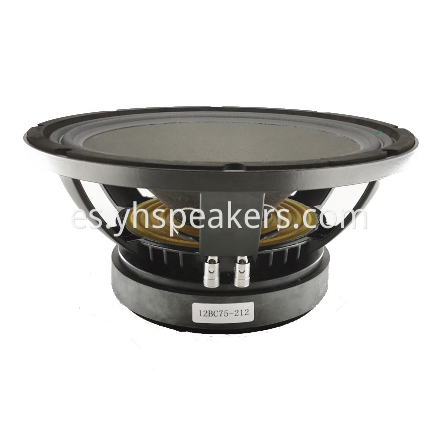 Top Quality 12 Inch Pro Audio Woofer